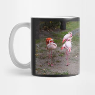 Pink and red flamingo Mug